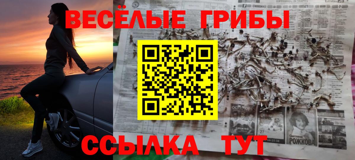Псилоцибиновые грибы мицелий Калининград